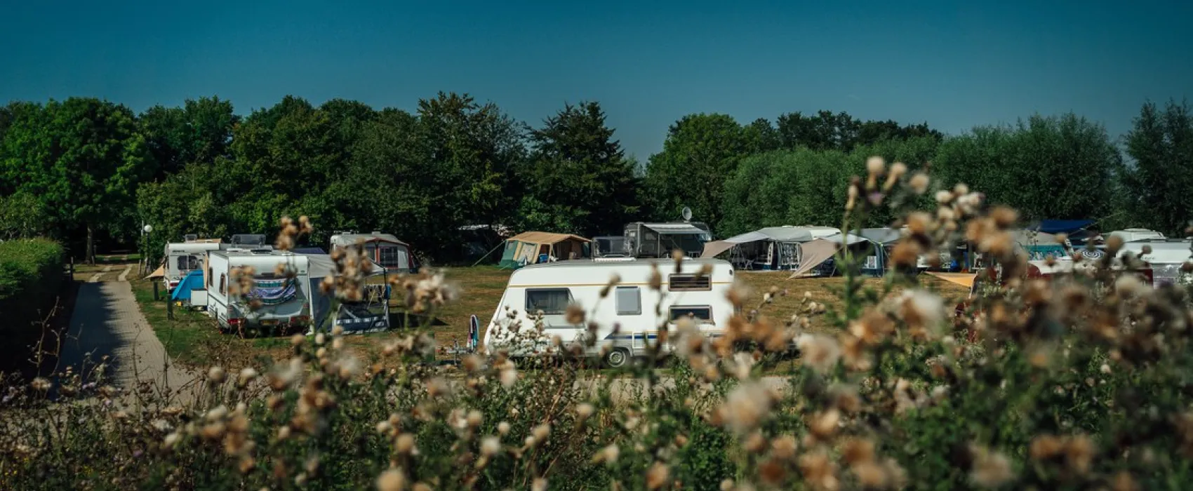 Buitenplaats de Luwte + B&B + Groepsaccommodatie