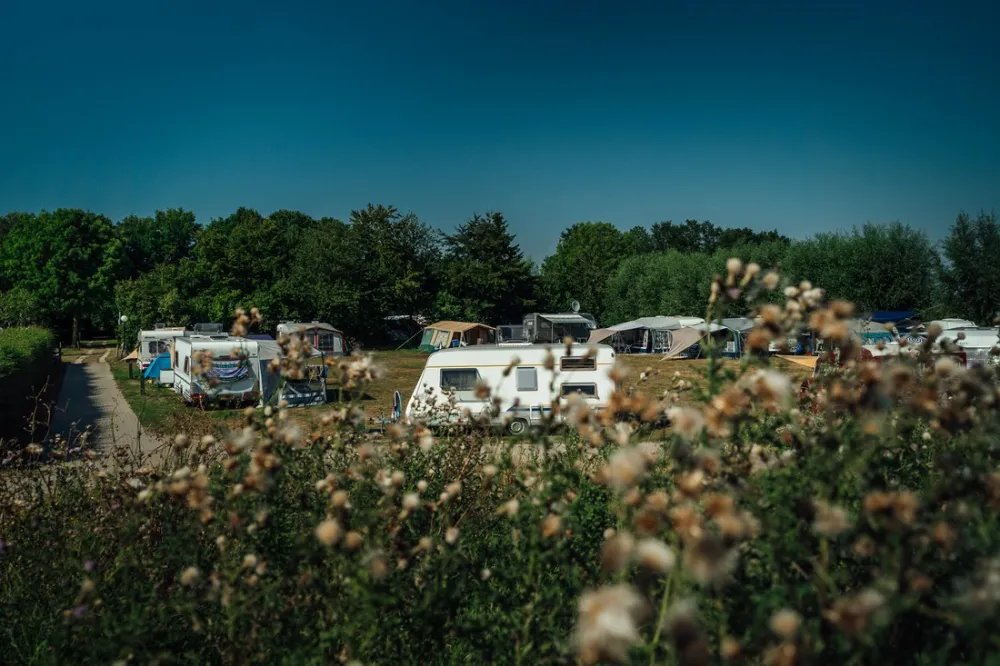 Buitenplaats de Luwte + B&B + Groepsaccommodatie