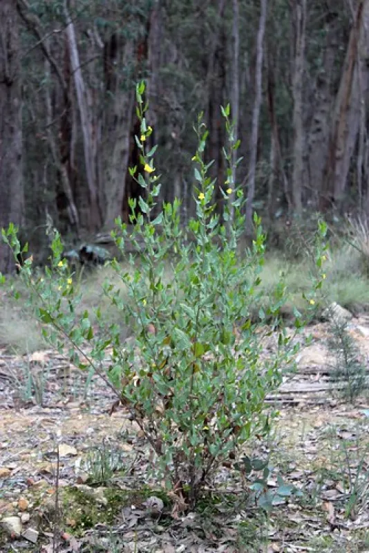 O`Briens Crossing Campground