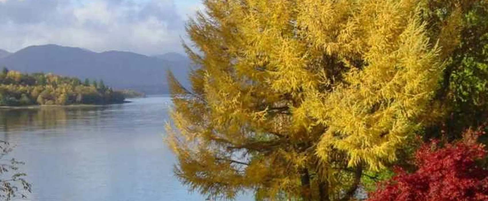 Linnhe Lochside Holidays