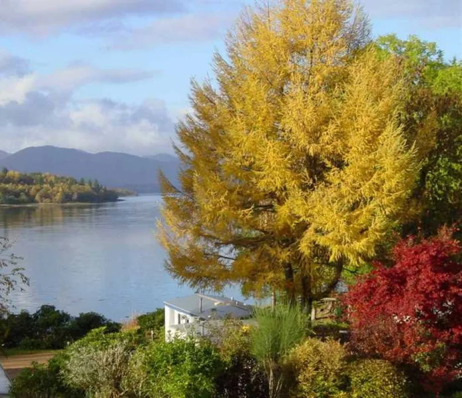 Linnhe Lochside Holidays