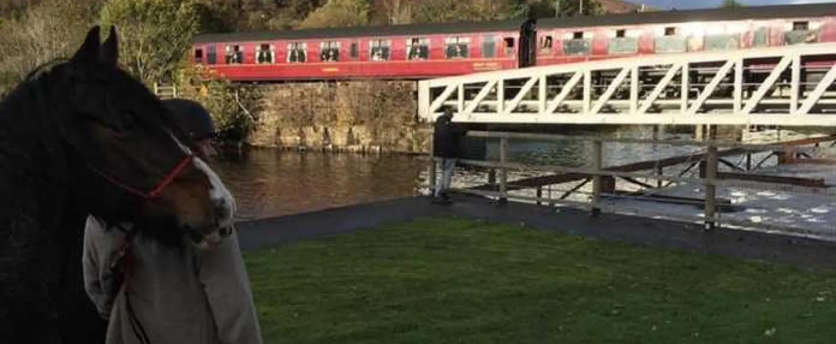 Linnhe Lochside Holidays