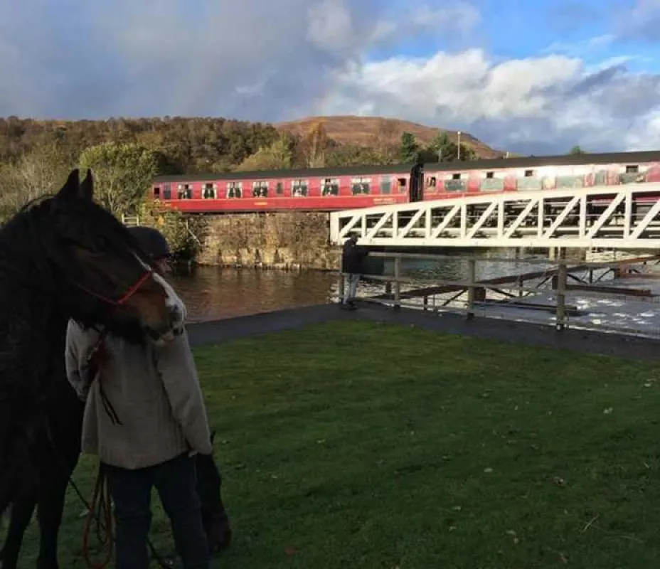 Linnhe Lochside Holidays
