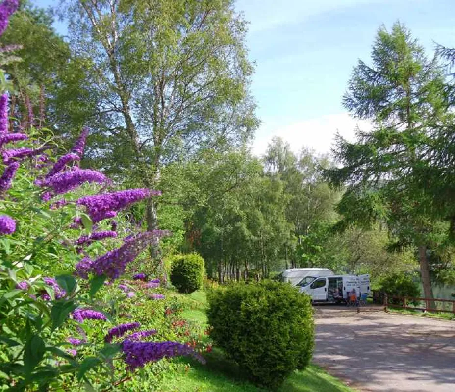 Linnhe Lochside Holidays