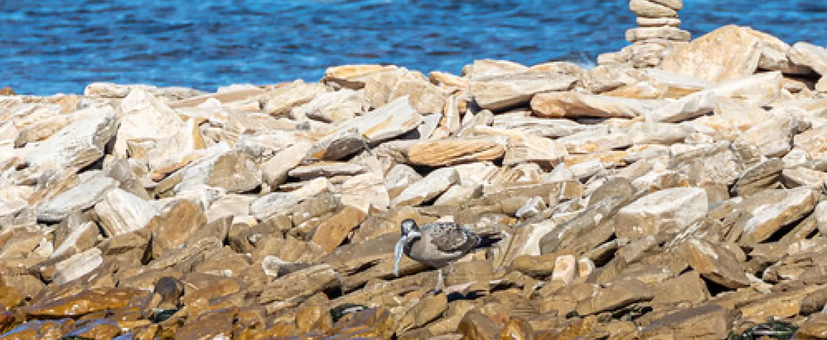 Point Lowly Campground