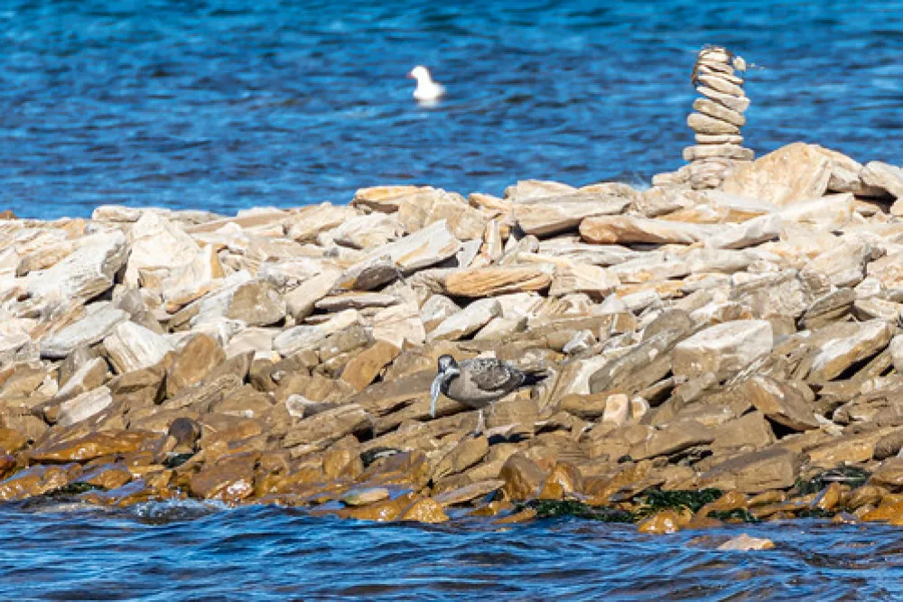 Point Lowly Campground