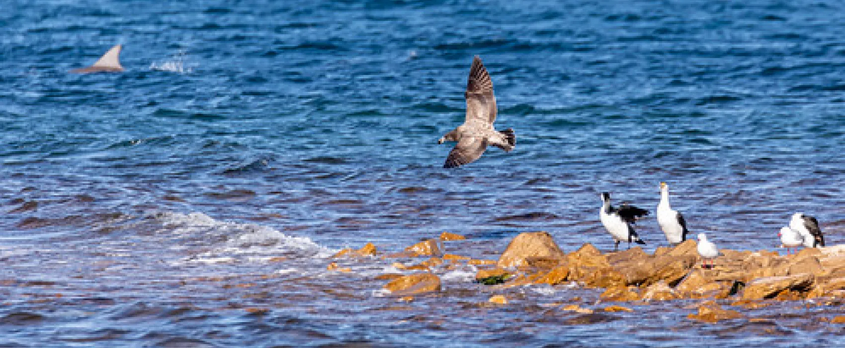 Point Lowly Campground