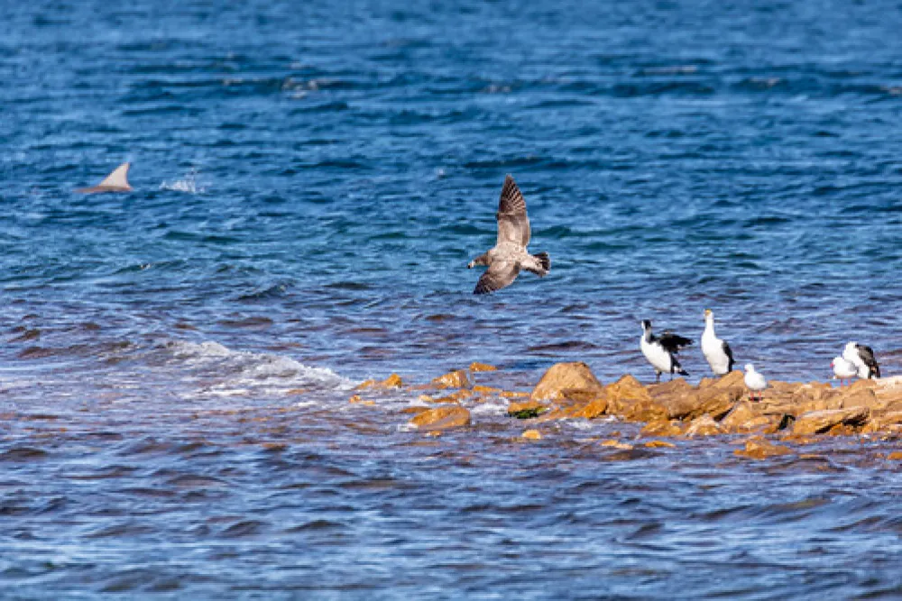 Point Lowly Campground