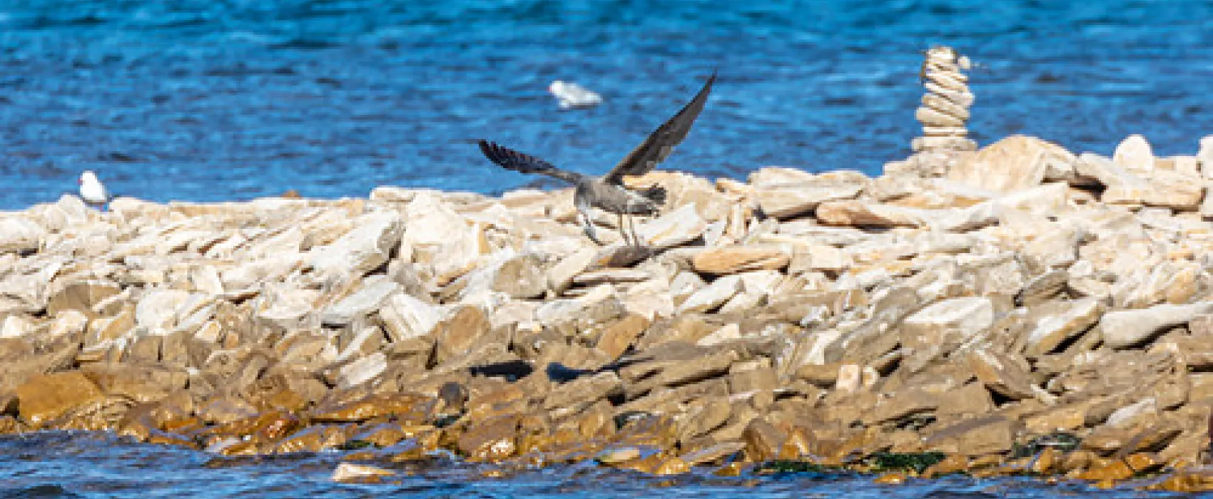 Point Lowly Campground