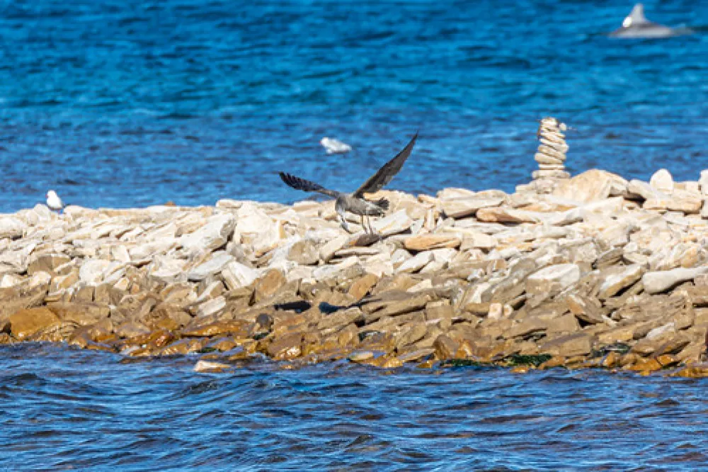 Point Lowly Campground