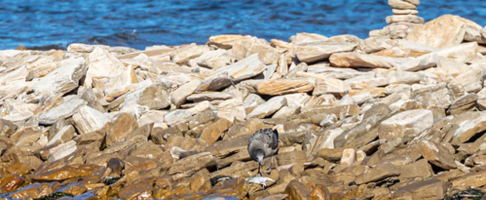 Point Lowly Campground