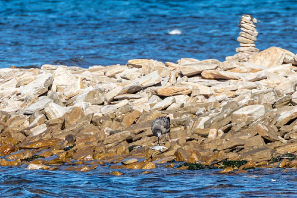 Point Lowly Campground