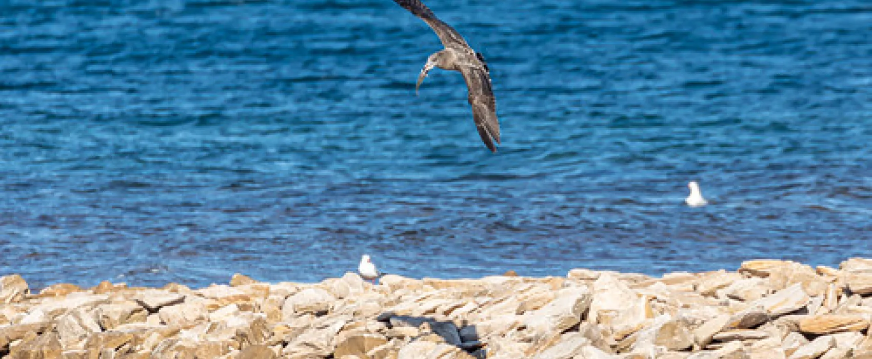 Point Lowly Campground
