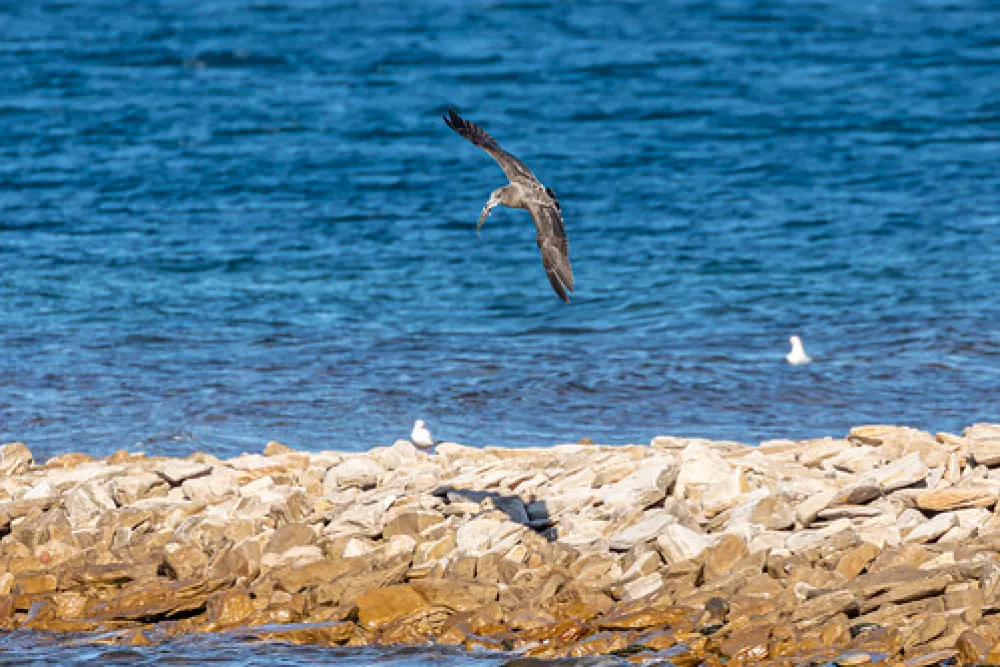 Point Lowly Campground