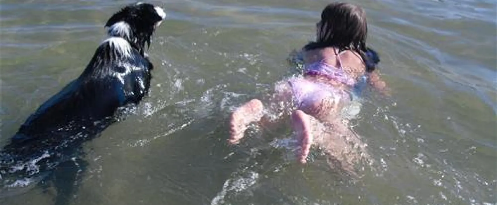 Camping aire naturelle De Camping