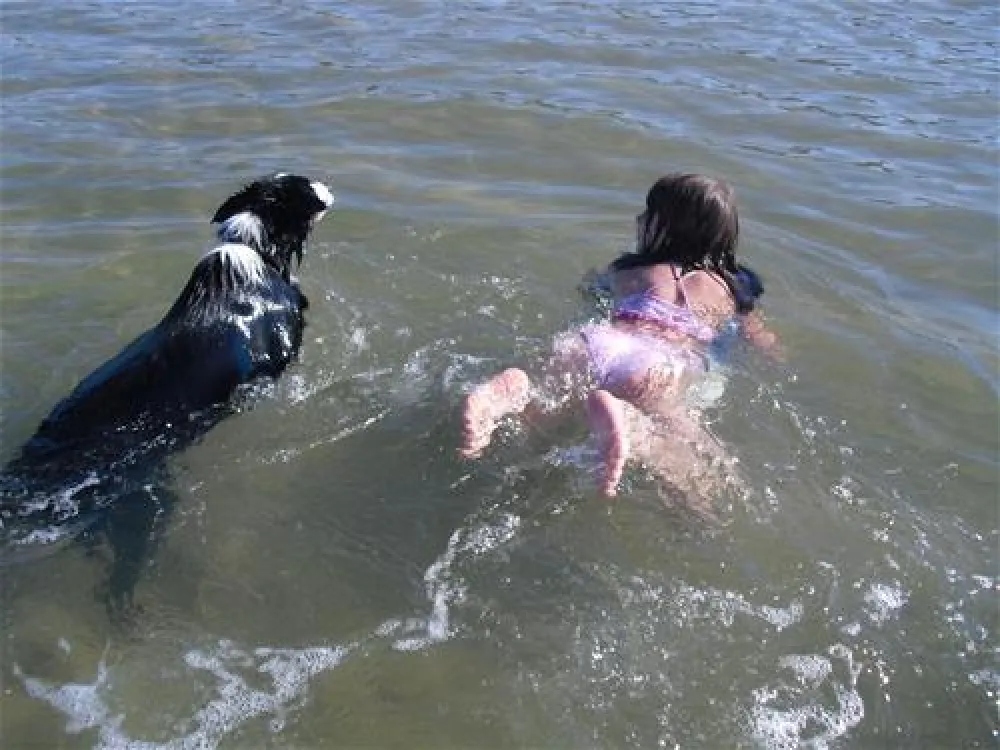 Camping aire naturelle De Camping