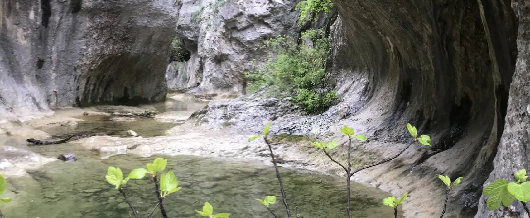 Camping Les libellules  