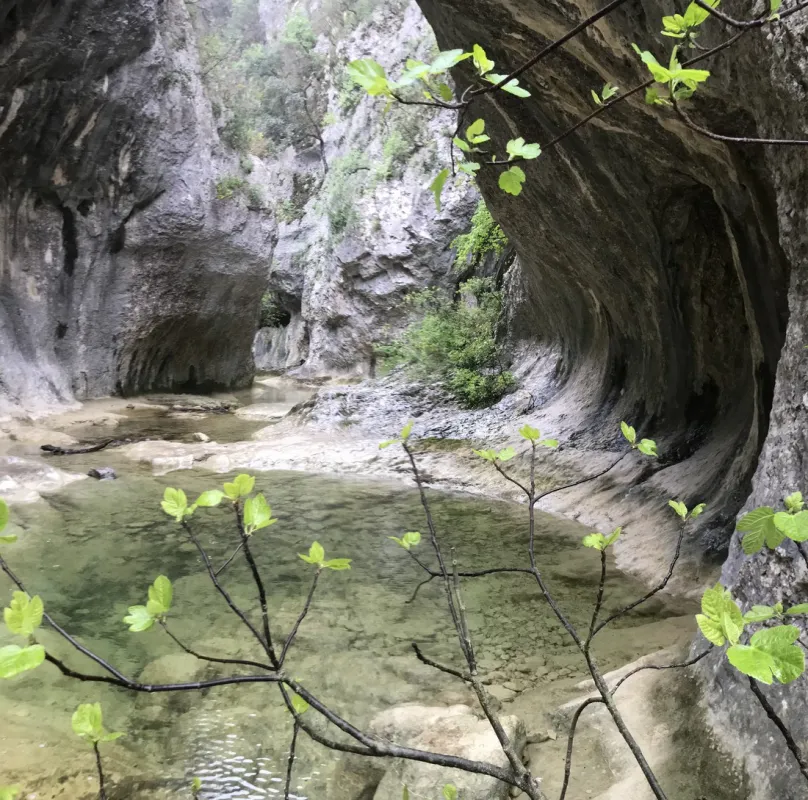 Camping Les libellules  