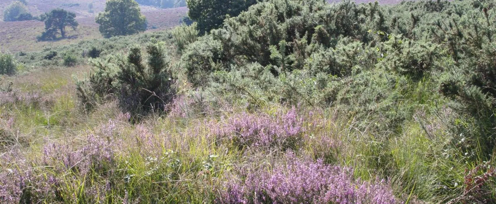 Vakantiedorp De Jutberg