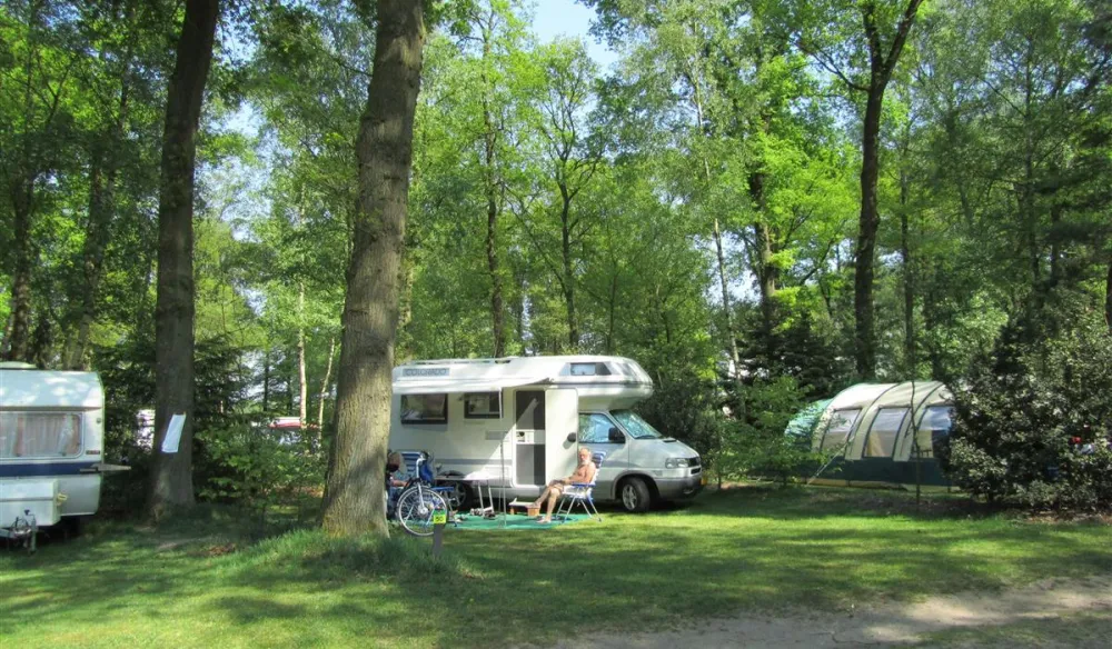 Vakantiedorp De Jutberg