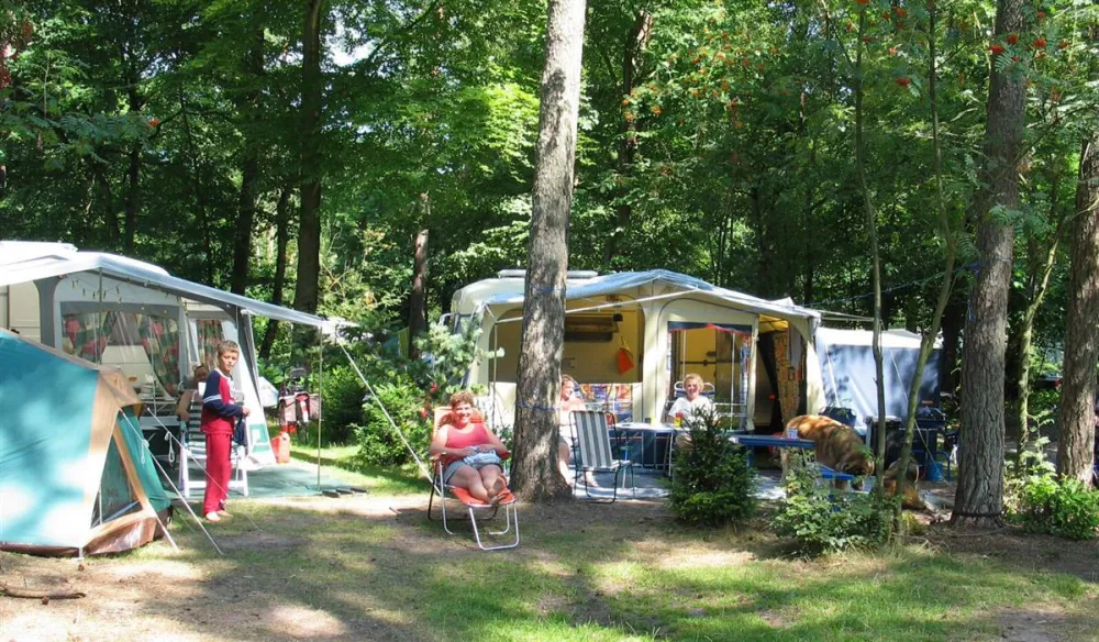 Vakantiedorp De Jutberg