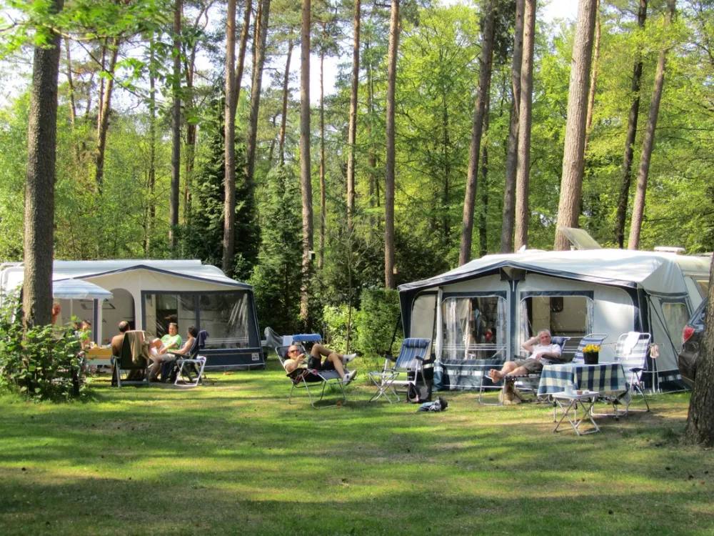 Vakantiedorp De Jutberg