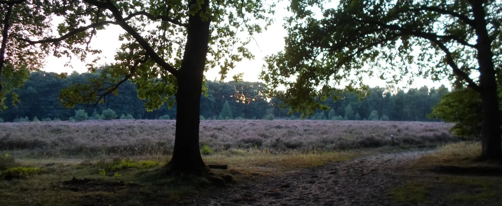 Vakantiedorp De Jutberg