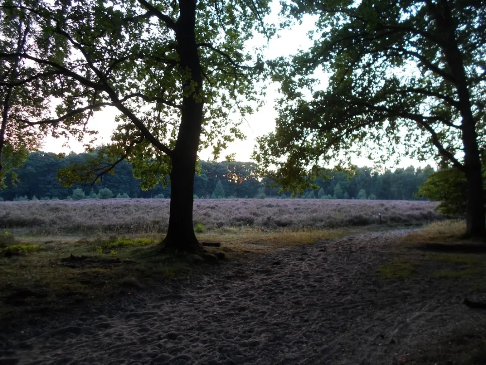 Vakantiedorp De Jutberg