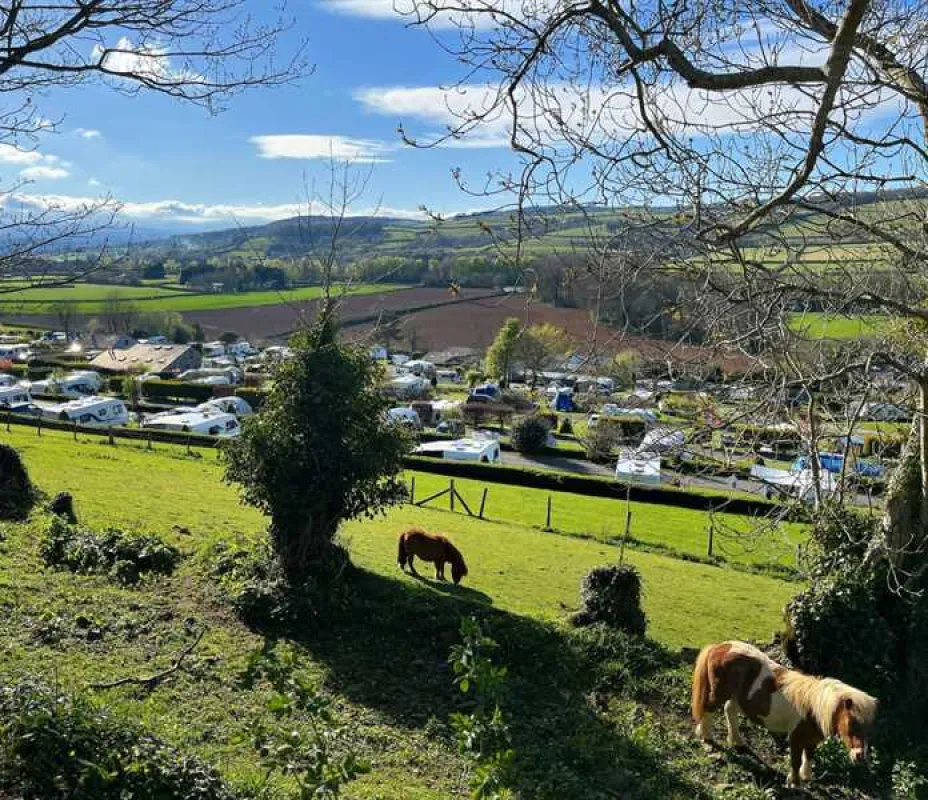 Parkers Farm Holiday Park