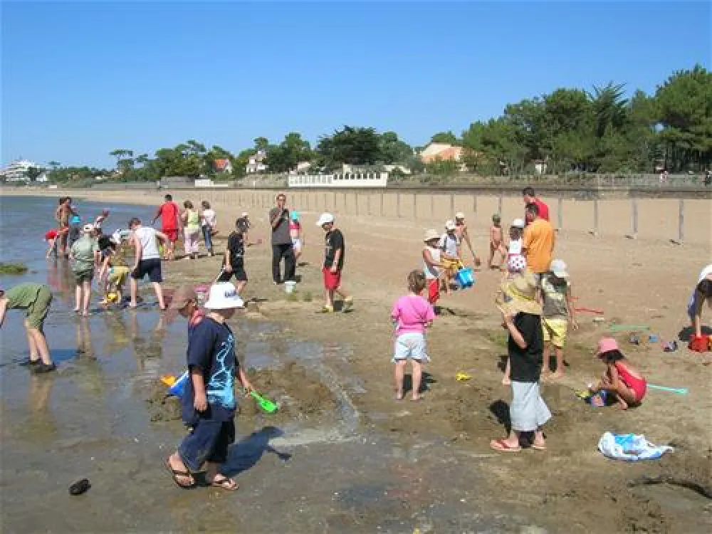 Camping de la Courance