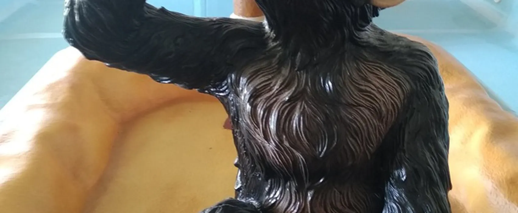 Camping de la Courance