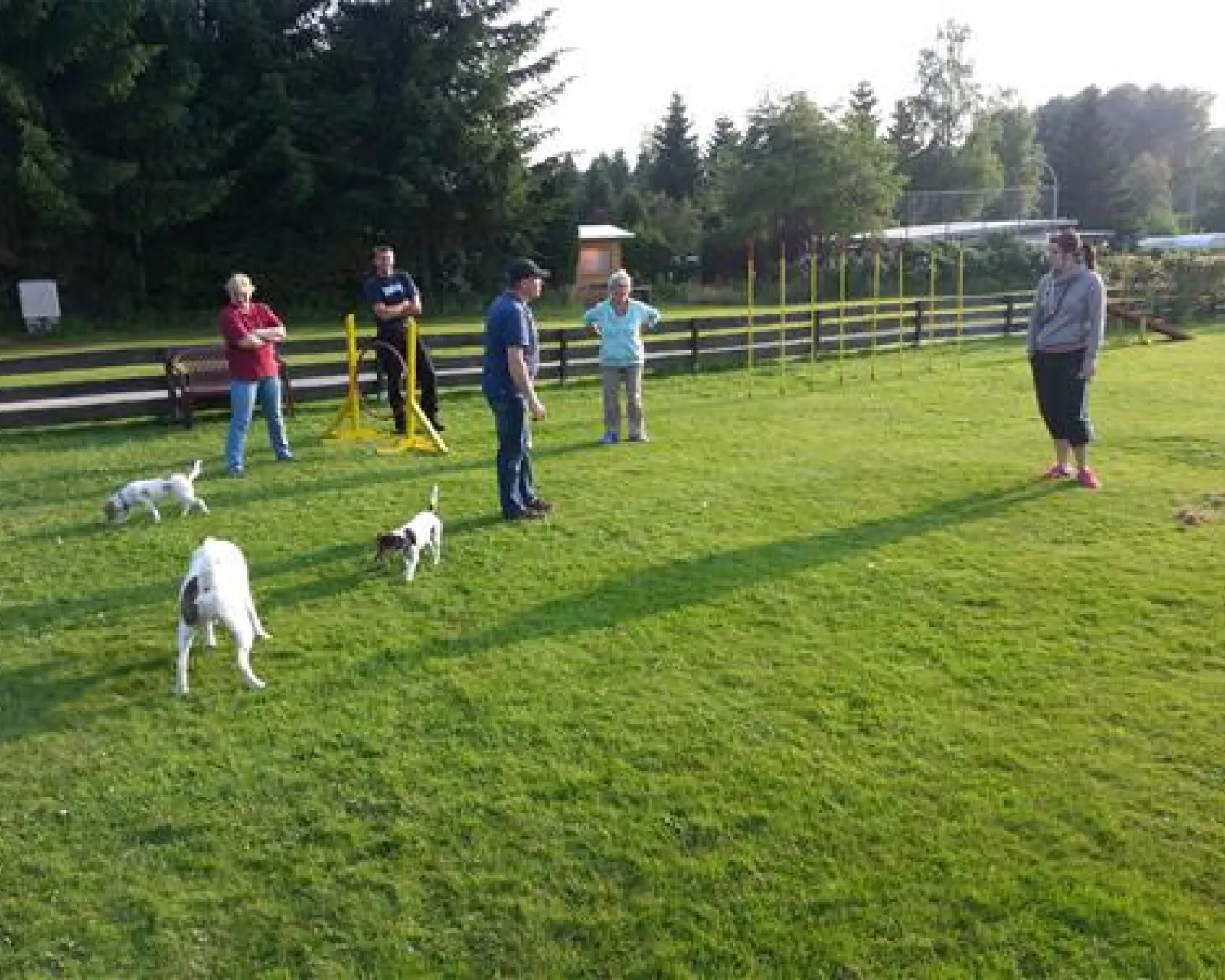 Camping Silberborn in Deutschland - Spottocamp - Spottocamp