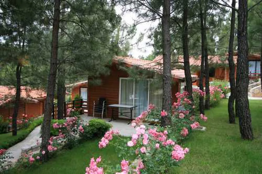 Camping el Canto La Gallina