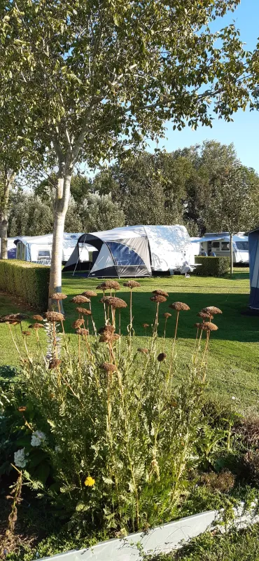 Camping Ter Leede