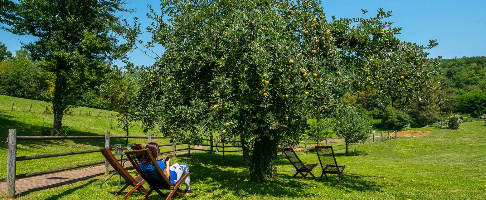 Heart of Nature Srakovcic