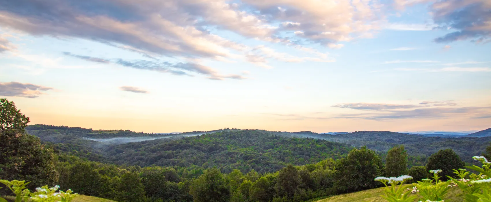 Heart of Nature Srakovcic