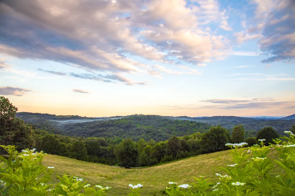 Heart of Nature Srakovcic