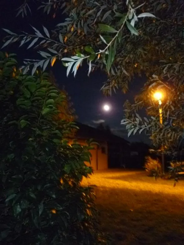 Le Domaine de Louvarel