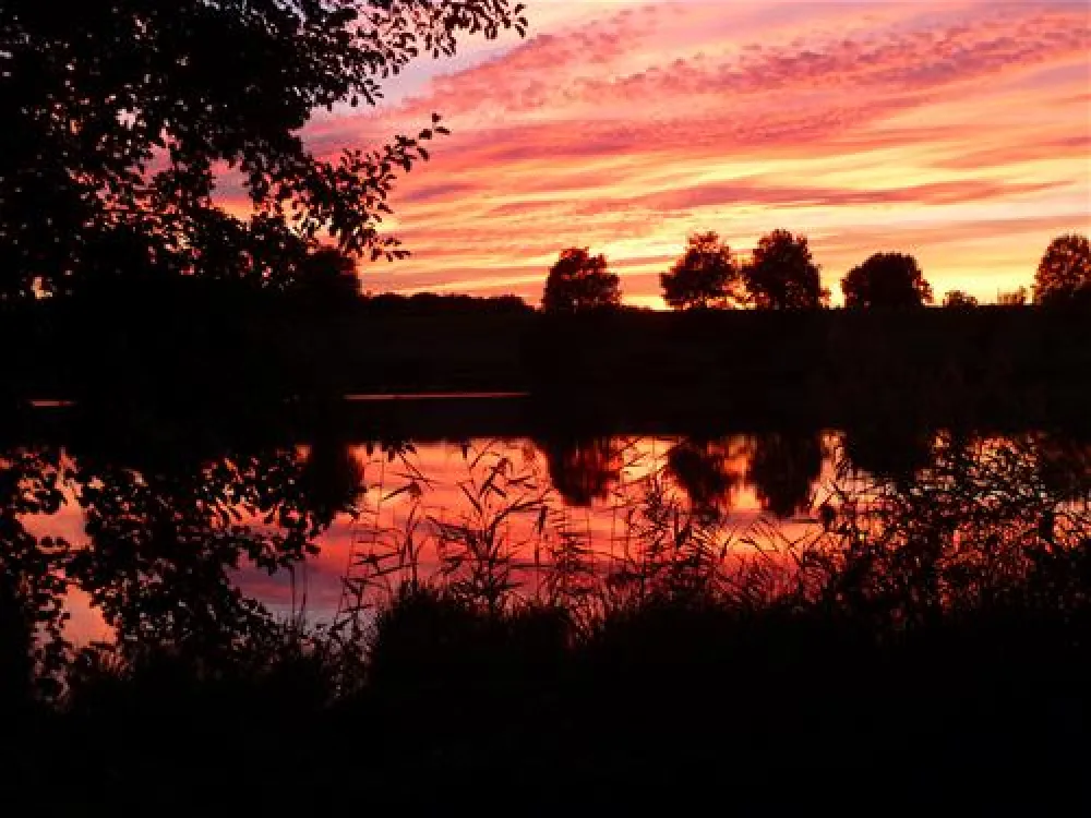 Le Domaine de Louvarel