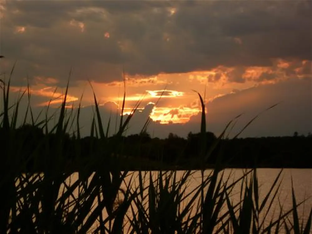 Le Domaine de Louvarel