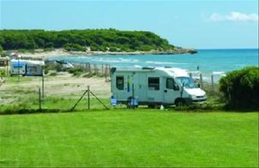 Camping las Palmeras