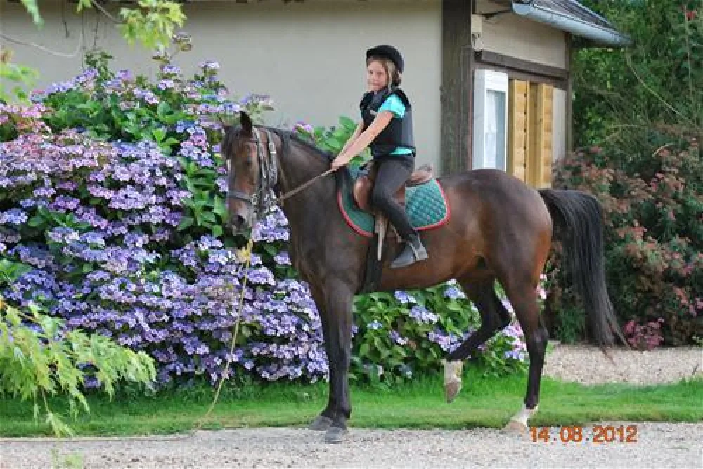 Camping les Pommiers