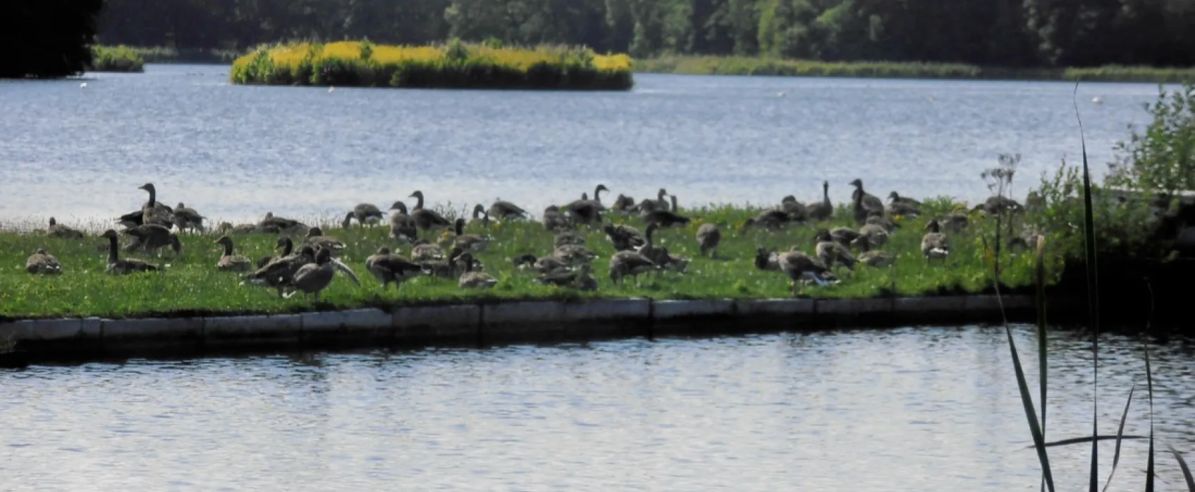 Campingpark Hüttensee