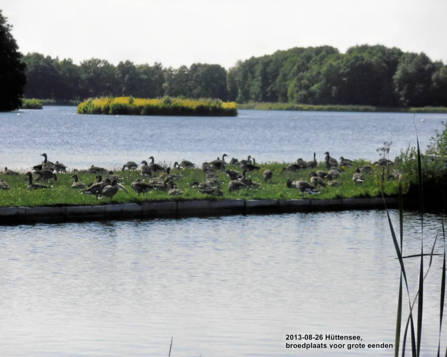 Campingpark Httensee in Deutschland - Spottocamp - Spottocamp