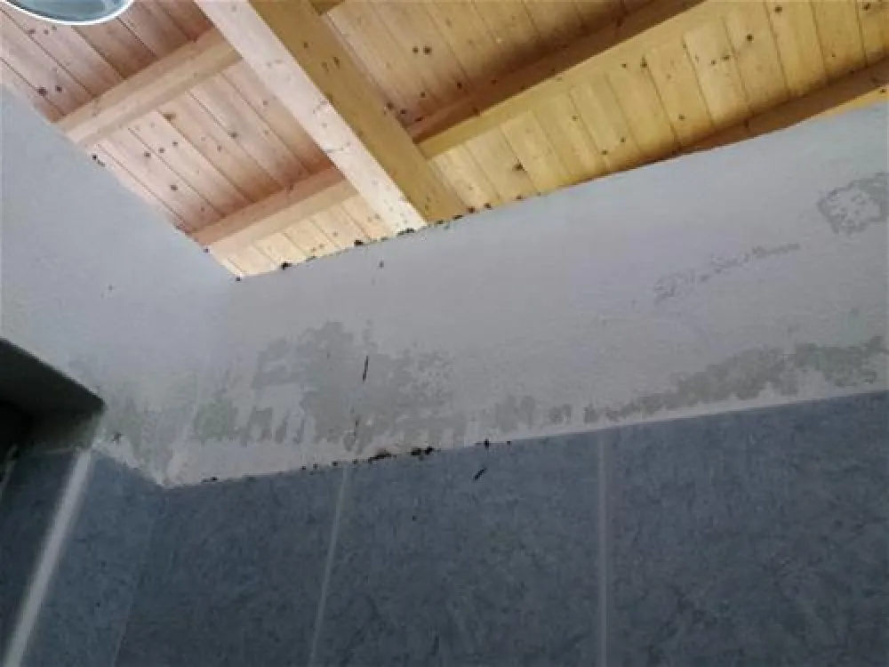 Villaggio Turistico San Francesco