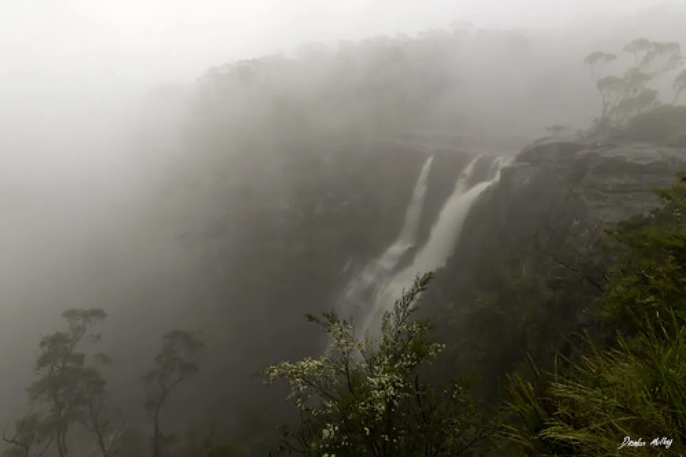 Carrington Falls Campground
