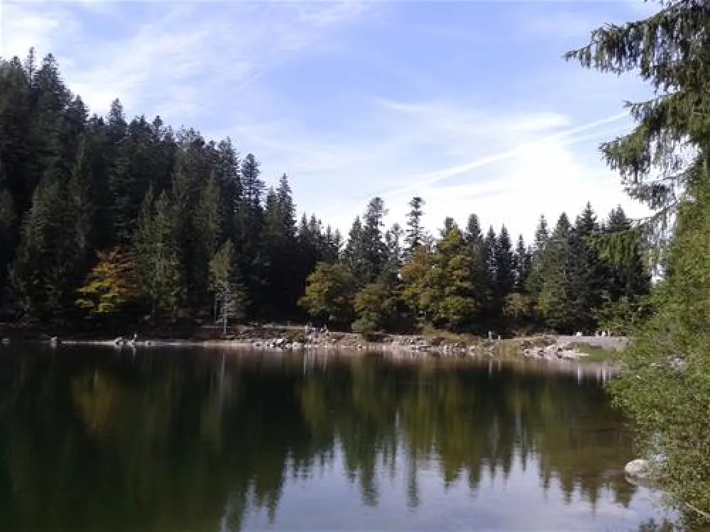 Camping Domaine du Haut des Bluches  