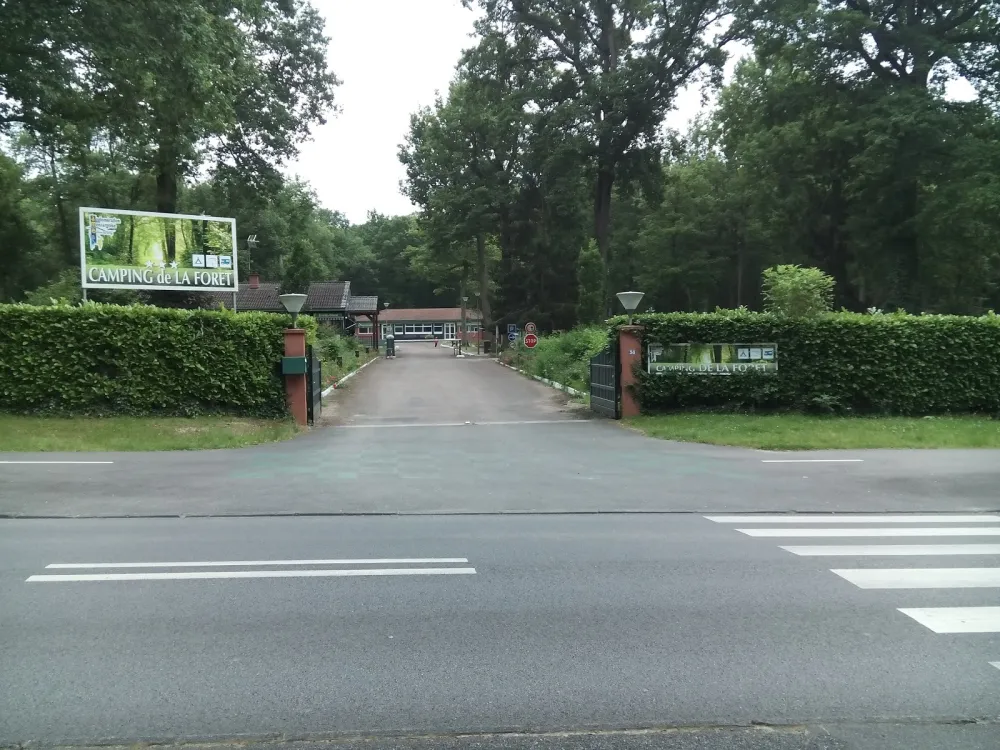 Camping Municipal De La Foret