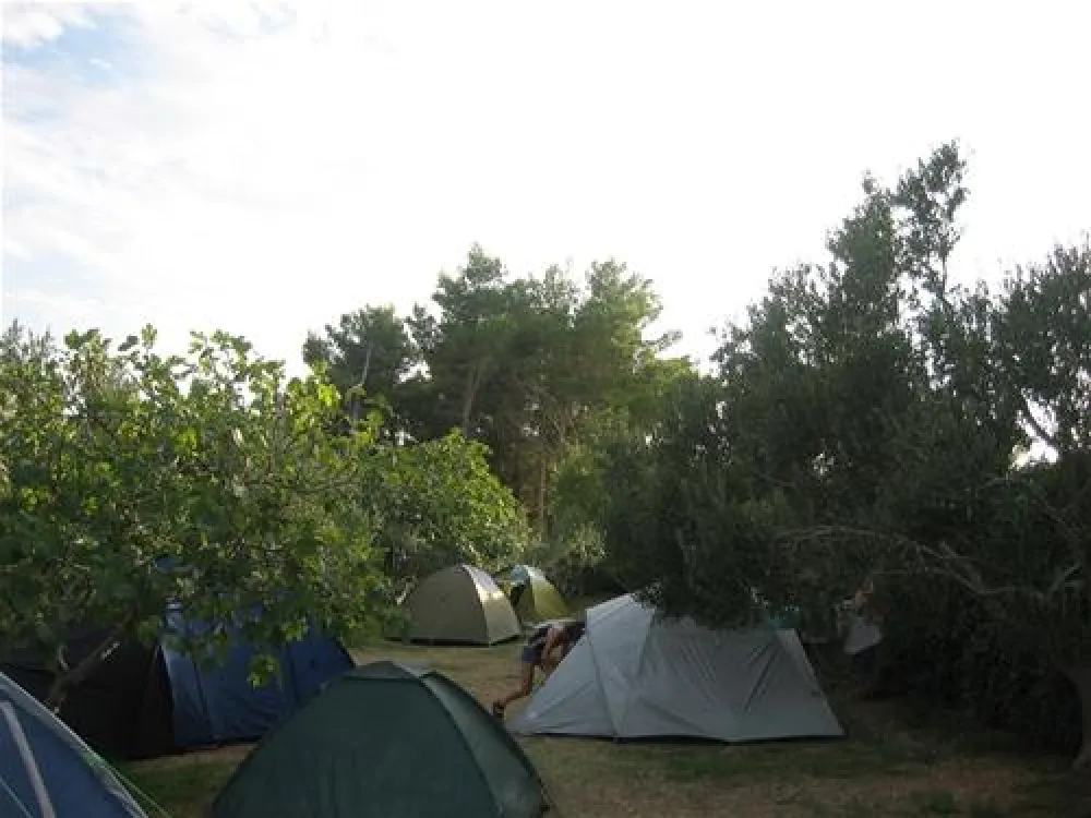 Camping Kito