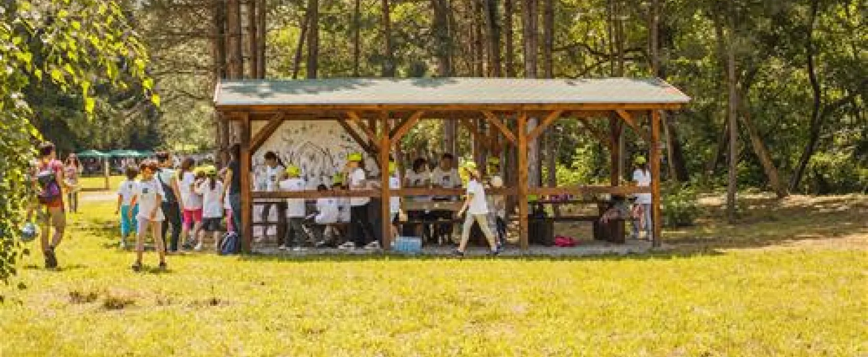 Eco camping Fruska gora